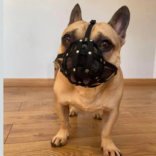 Dog Muzzle for French Bulldog "Frenchies" a Other similar snouts short snout