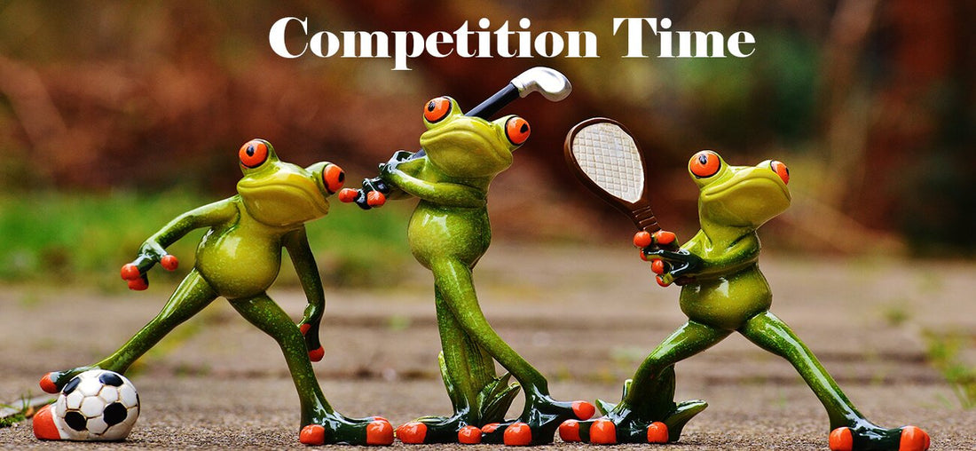It's All About Pet Lovers January Competition