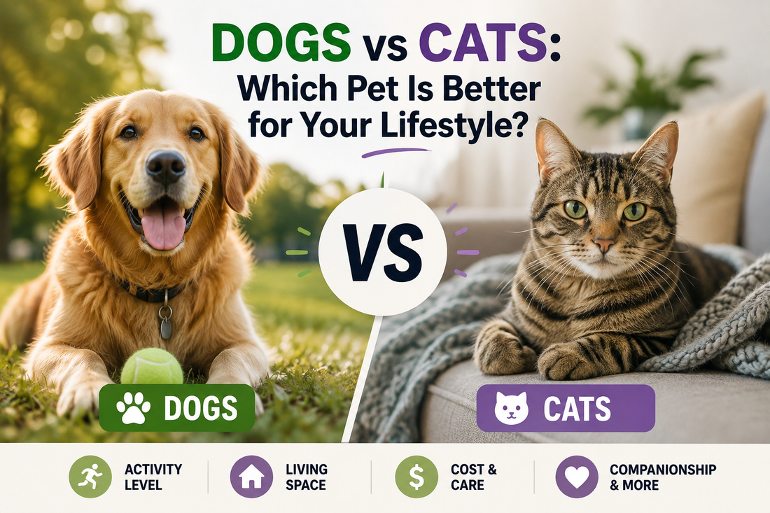 Dogs vs Cats Which Pet Is Better for Your Lifestyle