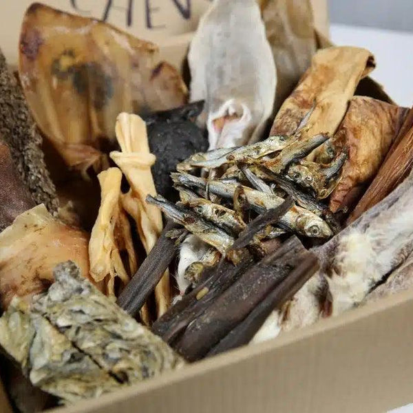 100 Piece XL Treat Box | 100% Natural Dog Treats