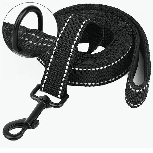 20 Meter Long Lead
