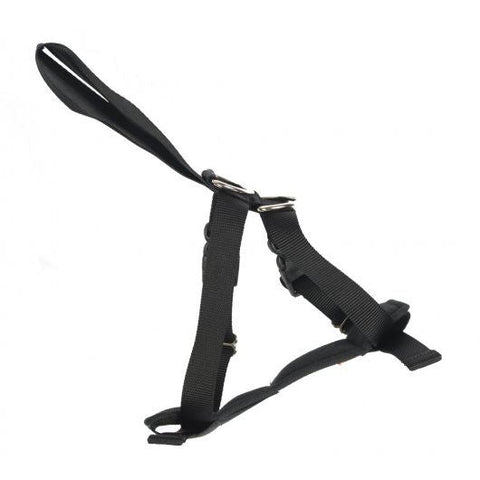 RAC 2 In 1 Car Harness Medium Max Chest 41-58cm (16-23")