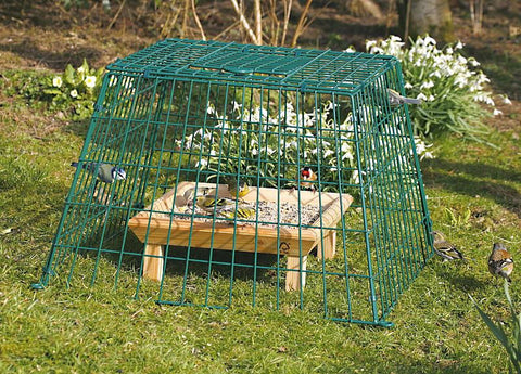 Cj Ground Guard Large Mesh Green