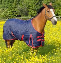 Horse Rug Moonlite Stable Standard Navy/red 2 Tone 7''