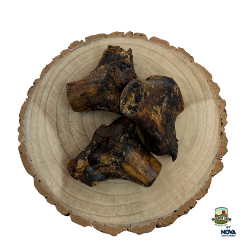 Nova Dog Chews Ostrich Knuckles Large — Case of 10