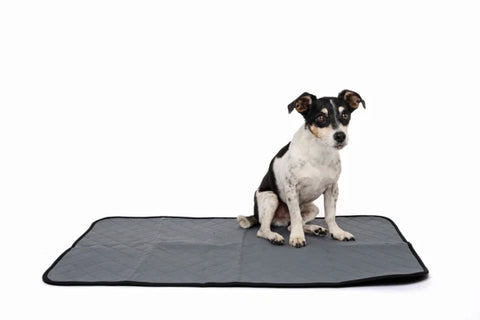 M-PETS Washable Training Pad