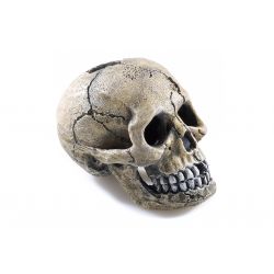 Classic Spooky Skull 8.5cm
