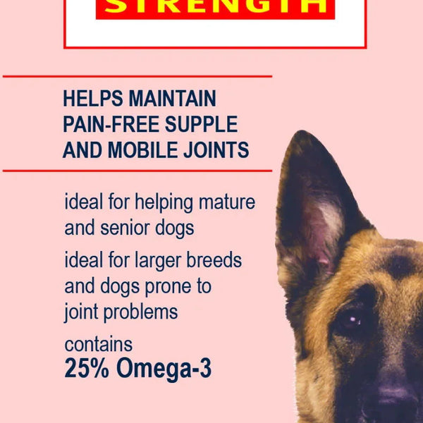 Vitapet Dog Double Strength R A Joint Formula 400ml