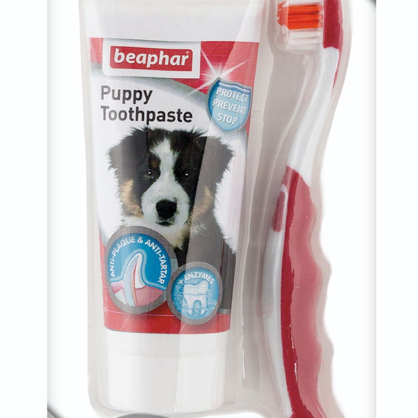 Beaphar Puppy Dental Kit 50g