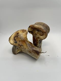 Ostrich Knuckle Large