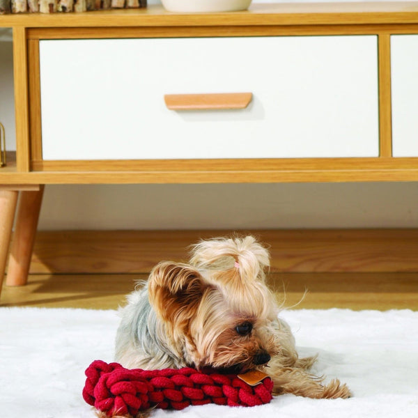 M-PETS Coto Eco Rope Dog Toys Red Bone