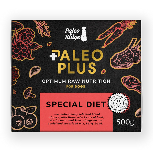 Paleo Ridge Paleo Plus Special Diet 500g