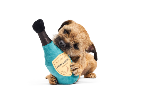 Bark Crufts Winner''s Chompagne