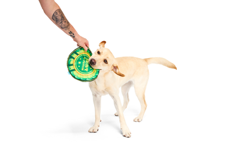 Bark Crufts Throwsette Disc