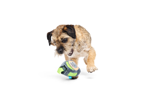 Bark Crufts Personal Beast Play Timer