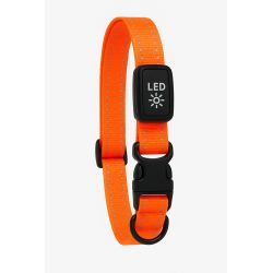Kowloon PVC Flashing Collar Orange, Medium/Large