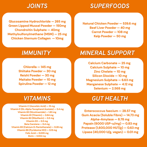 Feline 40 All-in-one natural supplement