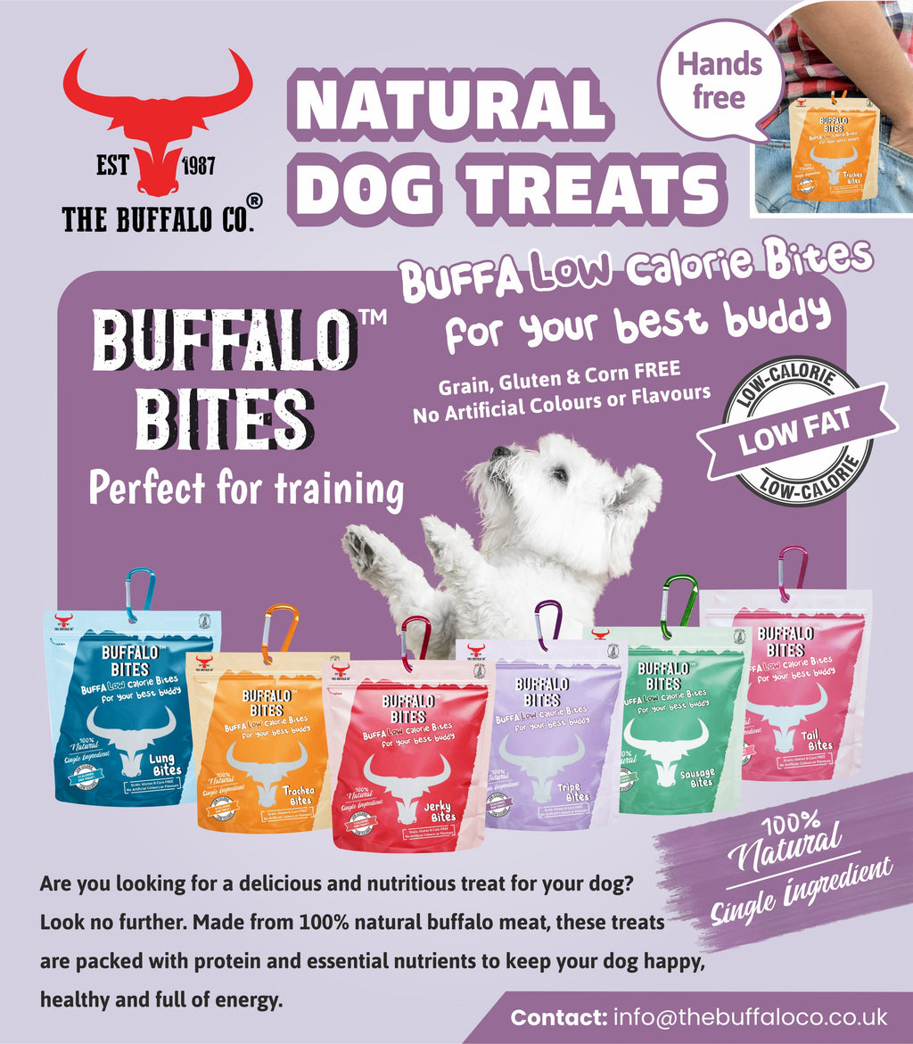 Buffalo Bites (Jerky Bites)