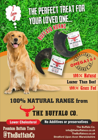 Buffalo Horn-Small (4-5 Inch)-Dog Treats