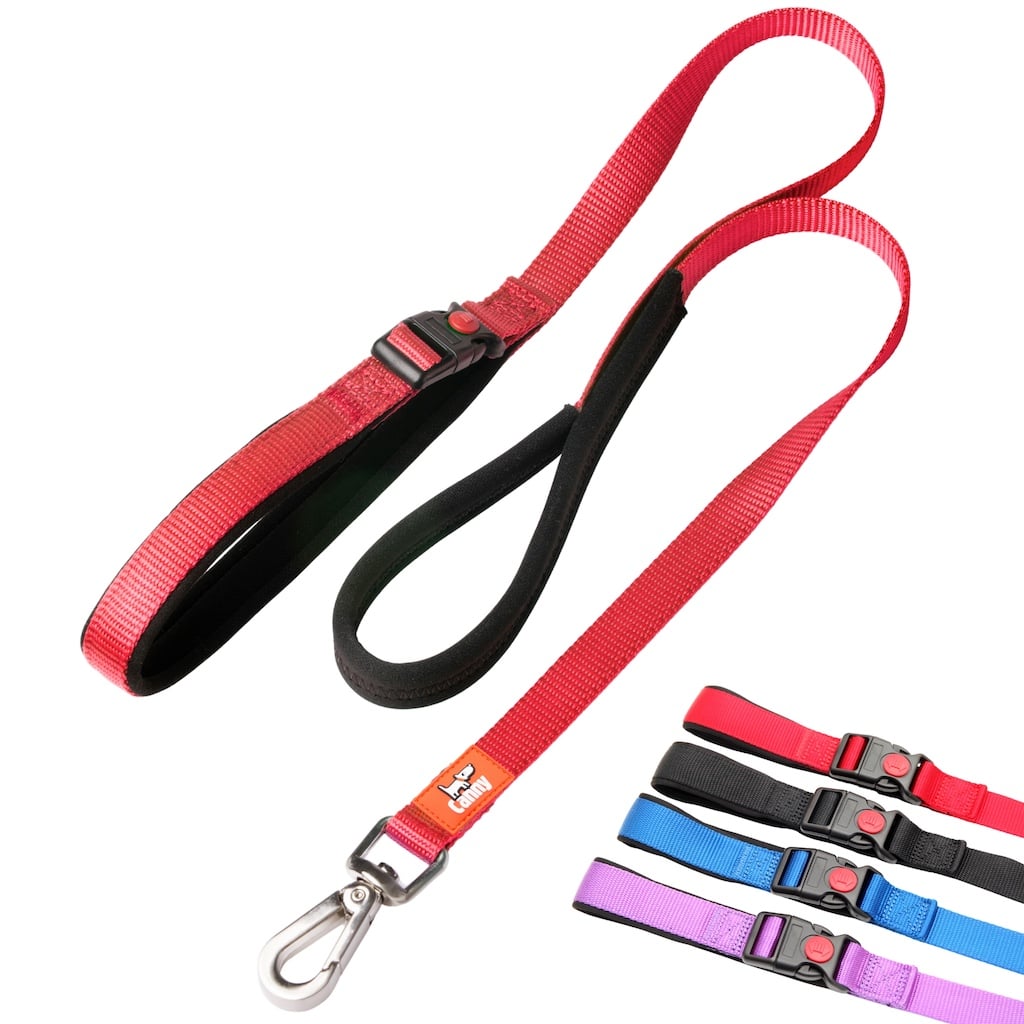 Canny CONNECT Anti-Escape Lead