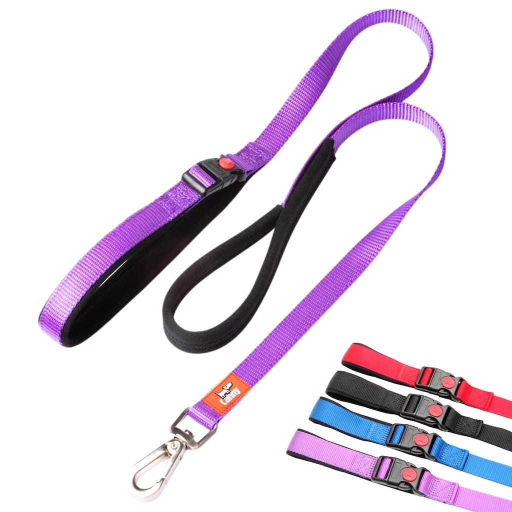 Canny CONNECT Anti-Escape Lead