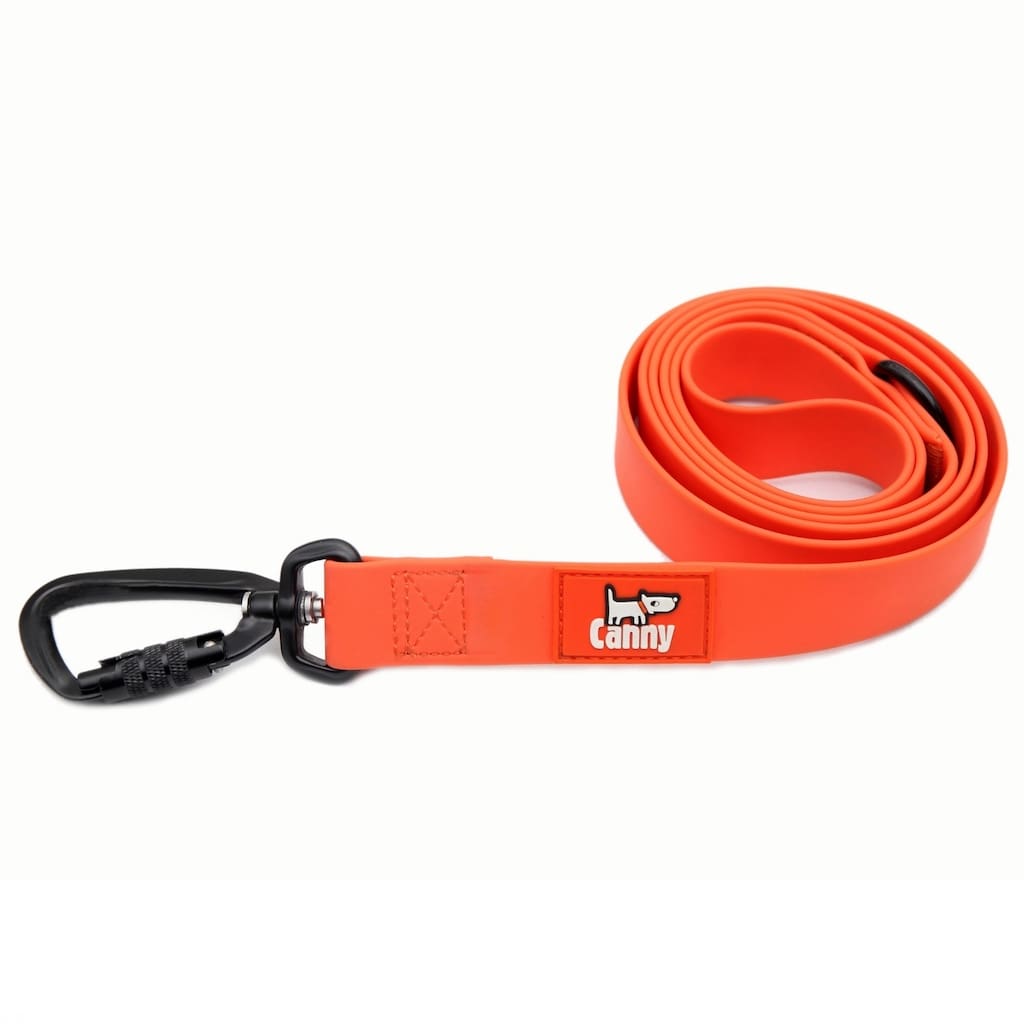Canny Waterproof Lead