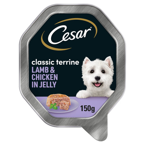 CESAR Classics Terrine Dog Food Tray Lamb & Chicken in Jelly 150g