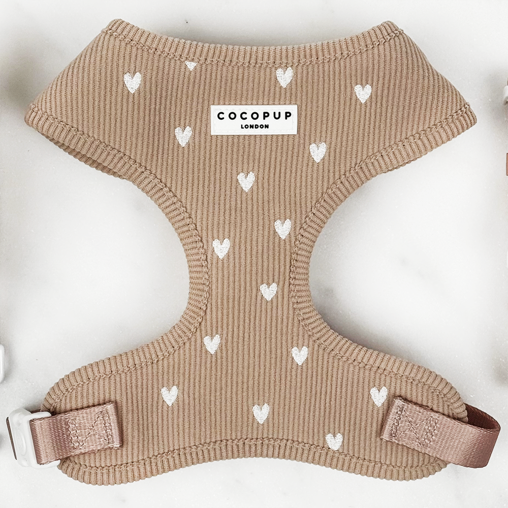Cocopup Chai Hearts Harness - S