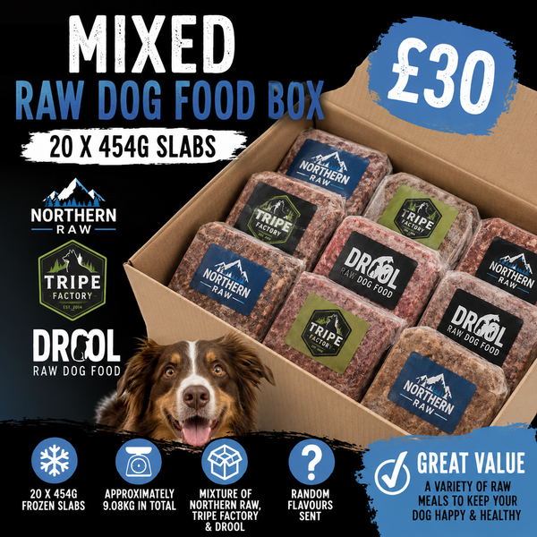 Mixed Raw Dog Food Box – 20 x 454g Slabs