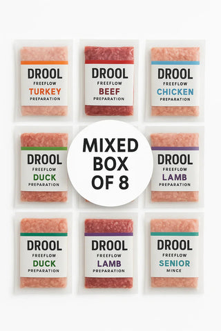 Drool Mince Freeflow Mixed 8 pack box