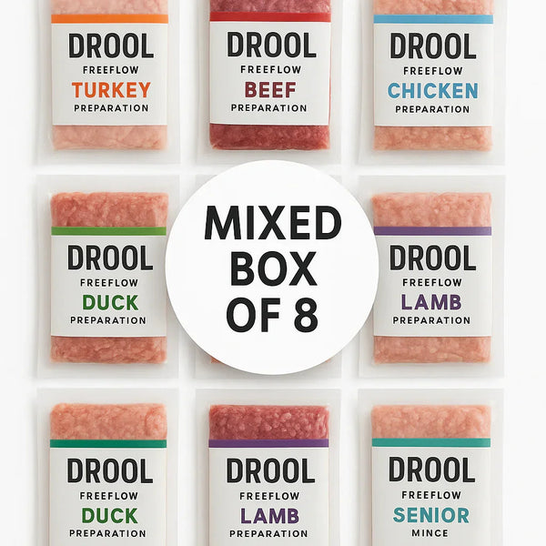 Drool Mince Freeflow Mixed 8 pack box
