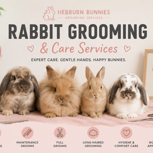 Rabbit Hygiene & Comfort Groom | Hebburn Bunnies