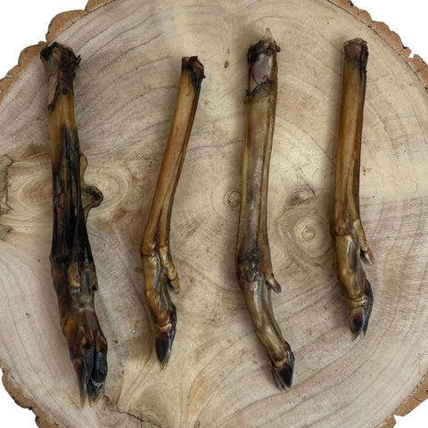 Nova Dog Chews Roe Deer Legs — Case of 30