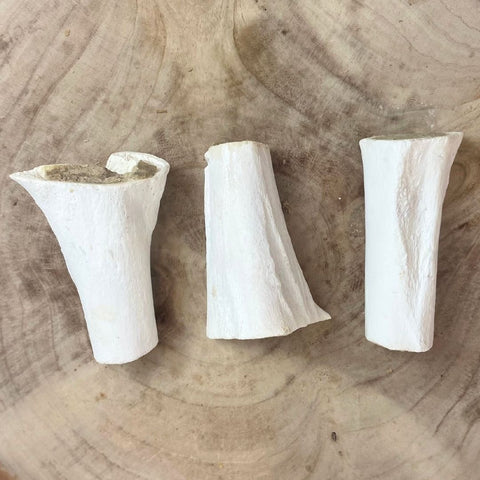 Nova Dog Chews Filled Sterilised Bones Meaty — Case of 20