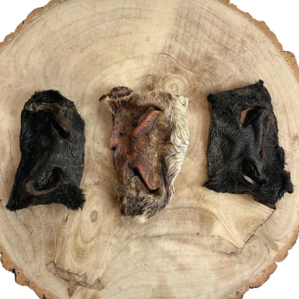 Nova Dog Chews Hairy Beef Snouts 1kg