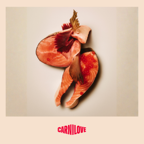 Carnilove Active Salmon & Turkey Large Breed Cat 6kg