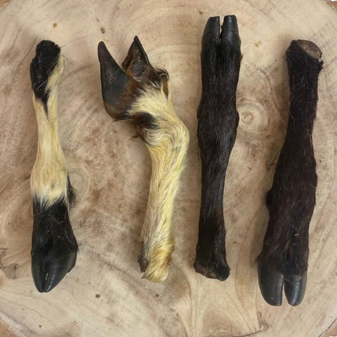 Nova Dog Chews Hairy Lamb Trotters (Pack of 20)