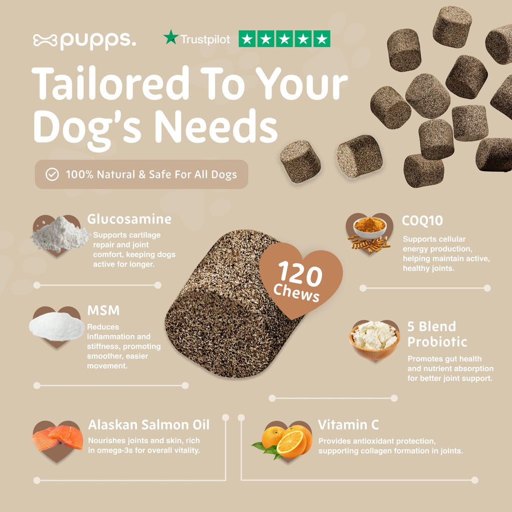 Multivitamin Treats
