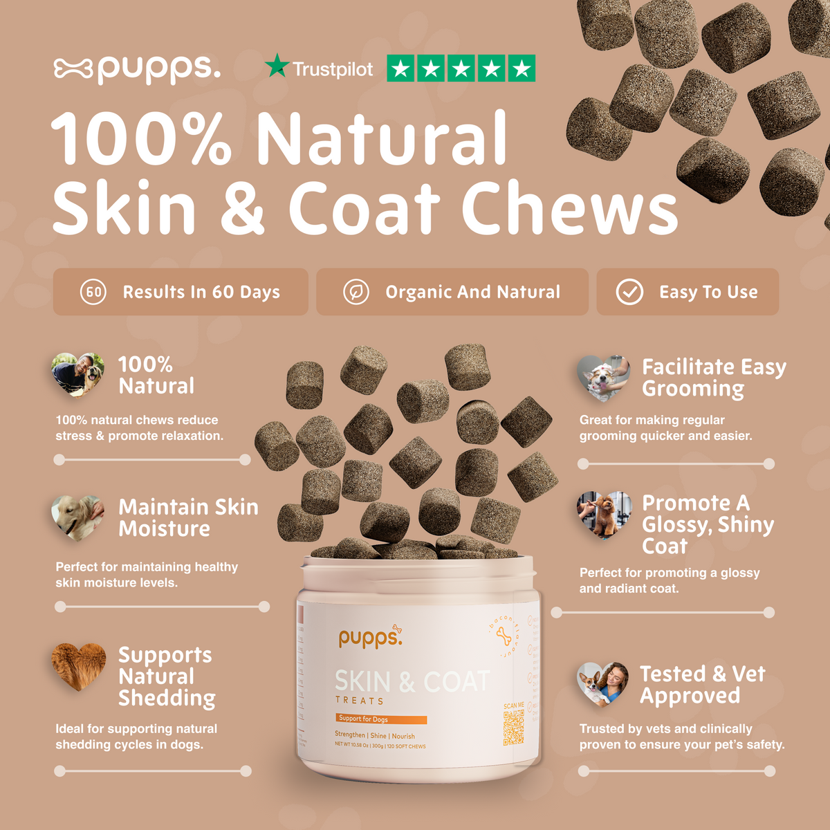Skin & Coat Treats