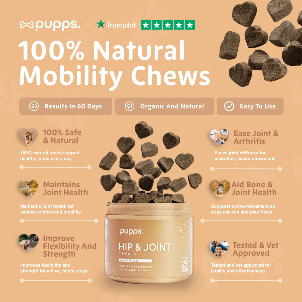 Hip & Joint Treats