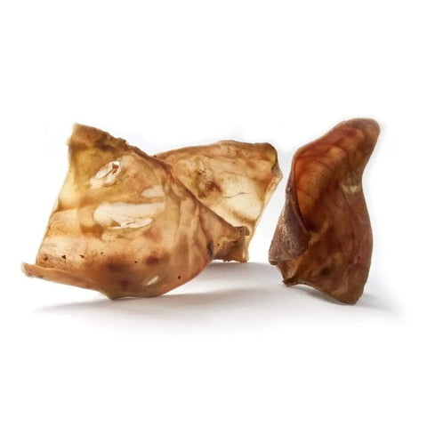 Nova Dog Chews Large Pig Ears (Pack of 50)