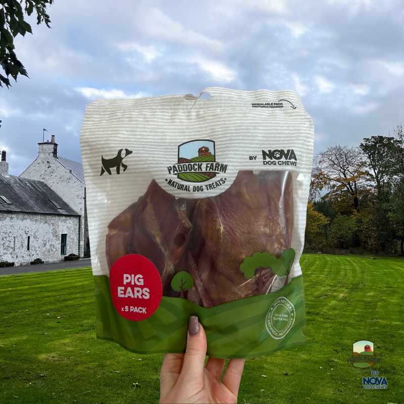 Nova Dog Chews Medium Pig Ears (5 pack) Pre Pack