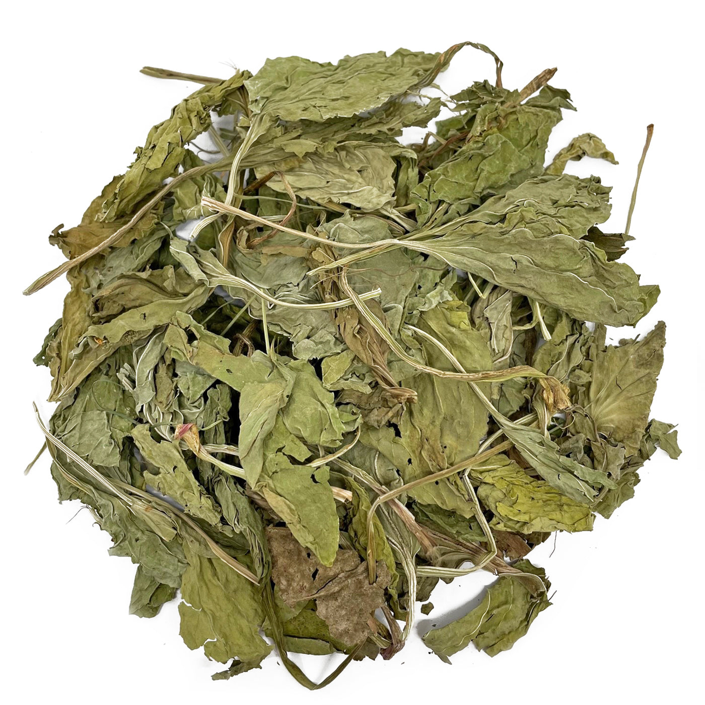 Plantain Leaves Grazing Bag – 100g