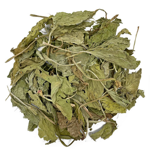 Plantain Leaves Grazing Bag – 100g