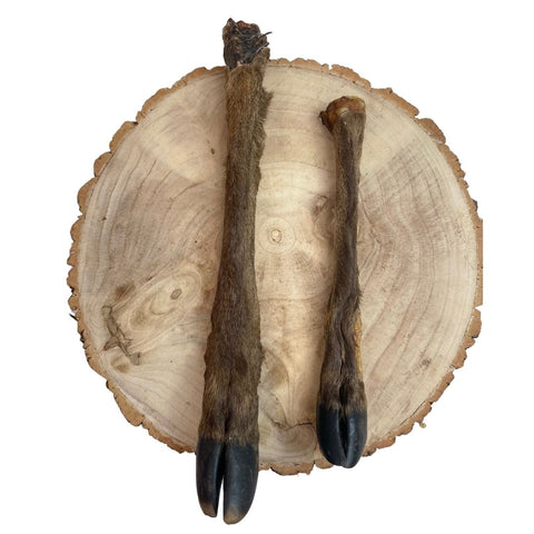 Nova Dog Chews Hairy Deer Legs — Case of 10