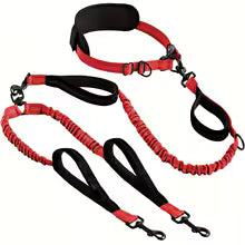 Explosive Double Dog Running Lead