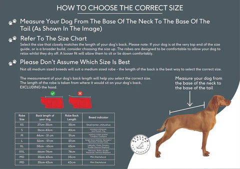 Stellar Luxury Drying Robes for Dogs