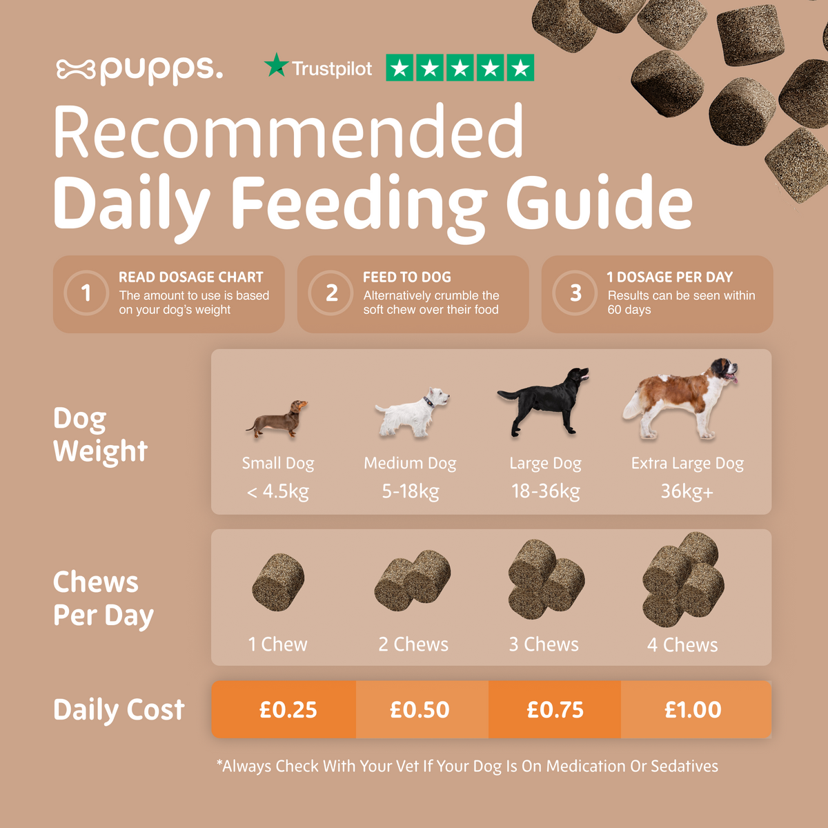 Skin & Coat Treats