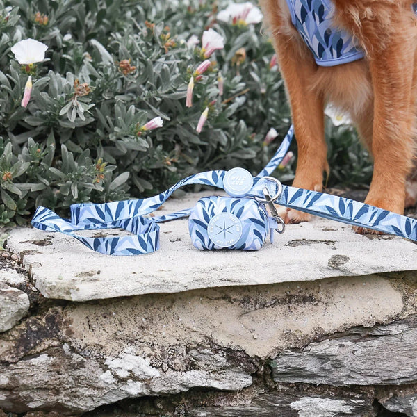 Wyld Cub - Dog Lead: Kew Celeste