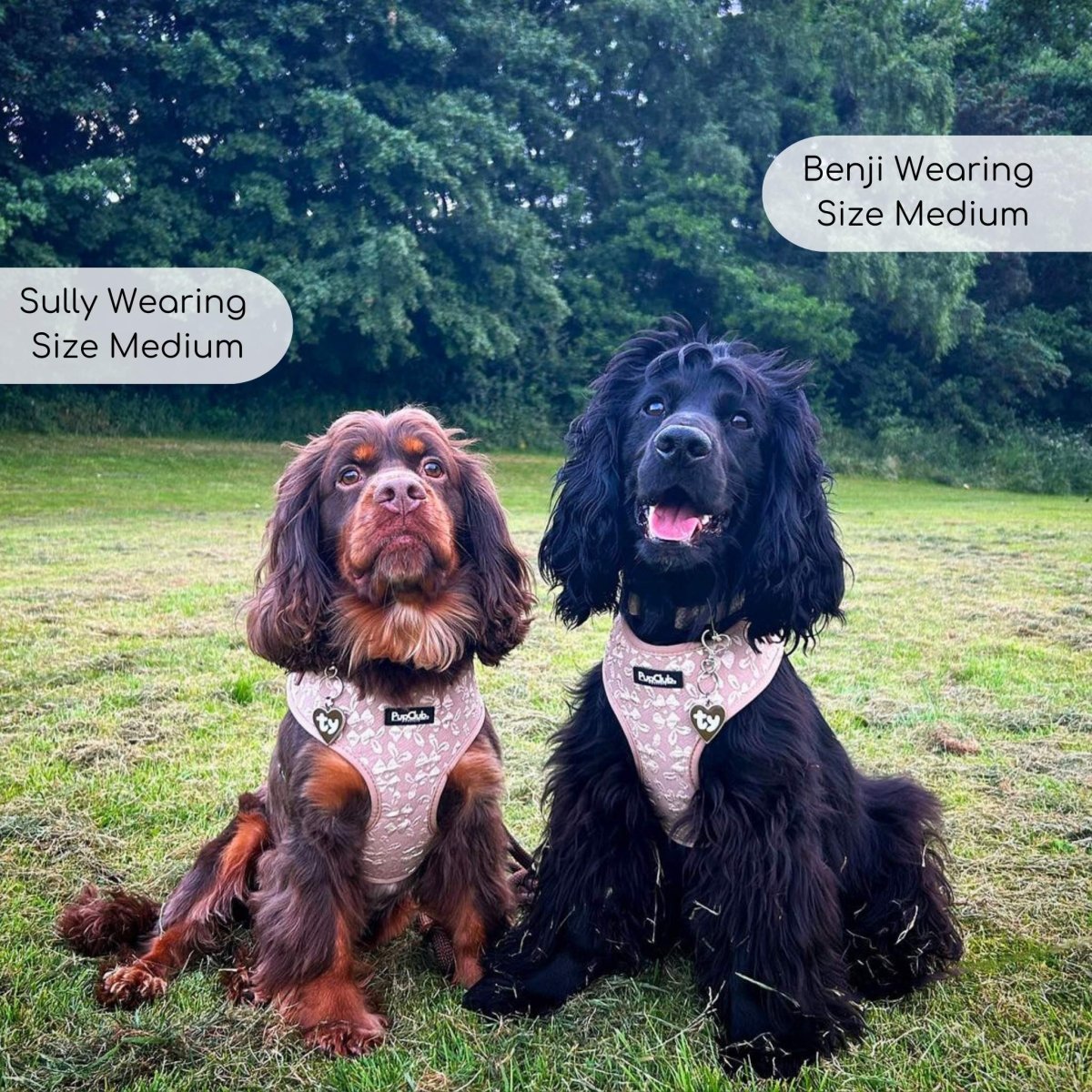 Luxe Adjustable Harness - Toffee Latte Petals